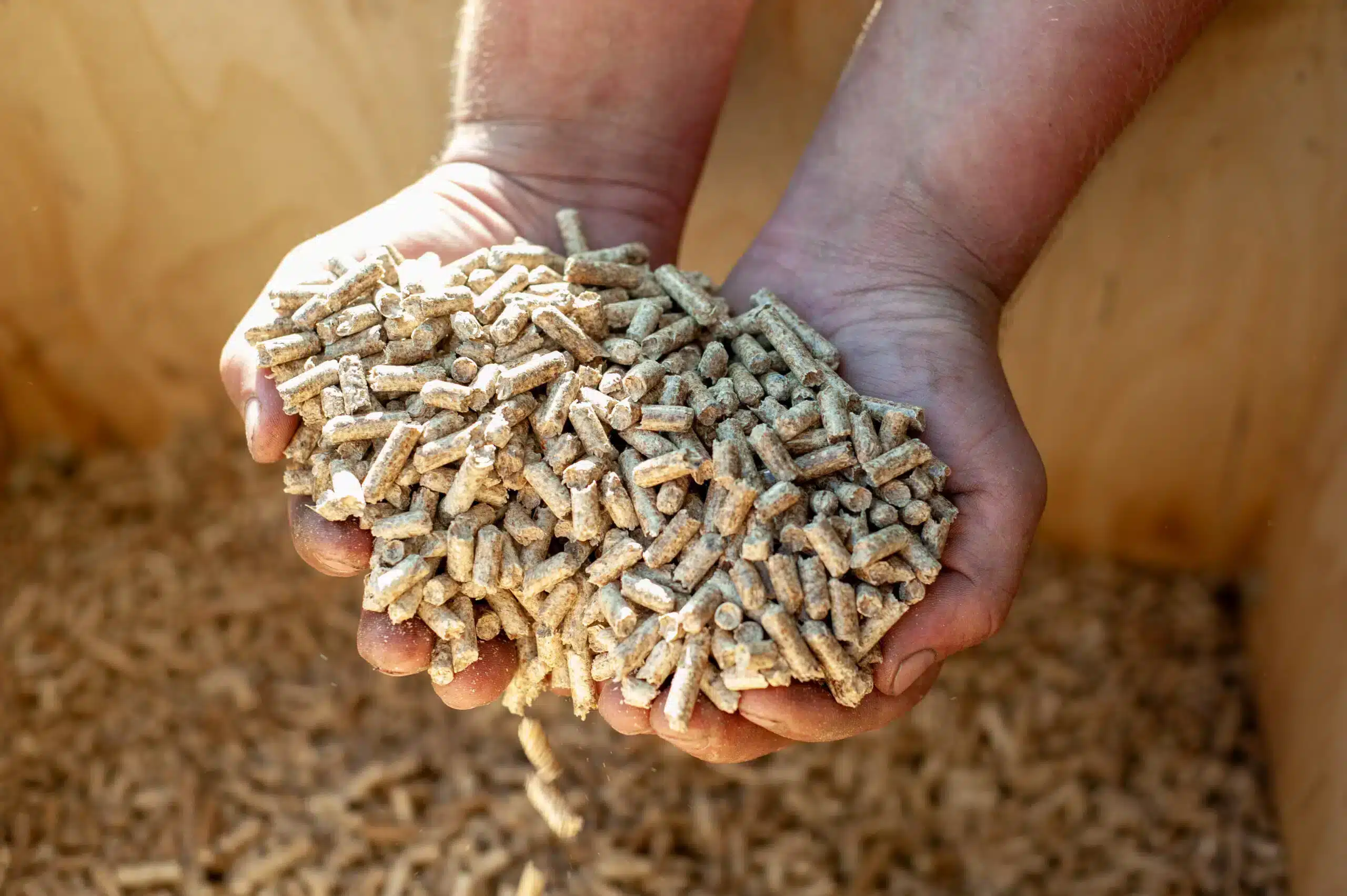 « les vendeurs ne le mentionnent jamais, leurs pellets stockés depuis l’hiver dernier sont en réalité presque inutilisables